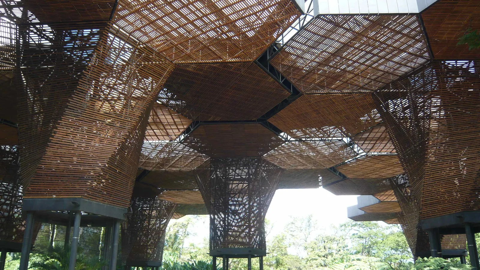 The wooden Orquideorama canopy in Medellín's Botanical Garden